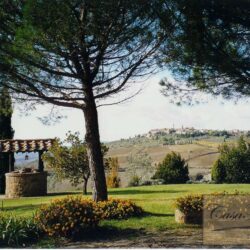 Hilltop Val d'Orcia House with Olives and Vineyard 3