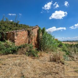 Historic Farmhouse with Olives to Restore for sale Castiglione del Lago Umbria (14)-1200