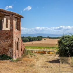 Historic Farmhouse with Olives to Restore for sale Castiglione del Lago Umbria (18)-1200