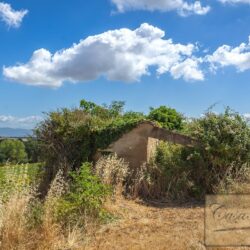 Historic Farmhouse with Olives to Restore for sale Castiglione del Lago Umbria (6)-1200