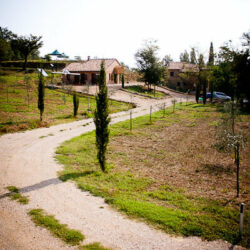 House with pool for sale near Chianciano Terme Tuscany (135)