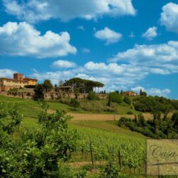 Large Estate for sale near San Gimignano Tuscany (1)-1200