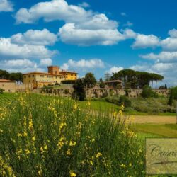 Large Estate for sale near San Gimignano Tuscany (36)-1200