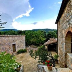 Large Estate with 44 Hectares for sale near Siena, Tuscany (46)