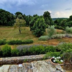 Large Estate with 44 Hectares for sale near Siena, Tuscany (47)