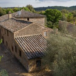 Large Estate with 44 Hectares for sale near Siena, Tuscany (51)