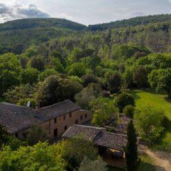 Large Estate with 44 Hectares for sale near Siena, Tuscany (56)