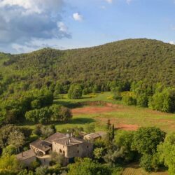 Large Estate with 44 Hectares for sale near Siena, Tuscany (61)