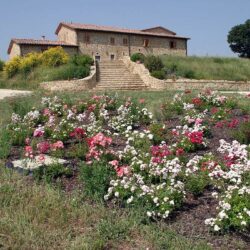 Large Val d'Oria property for sale near Pienza (6)
