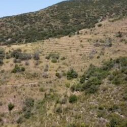 Large property for sale on Monte Argentario Tuscany (5)-1200