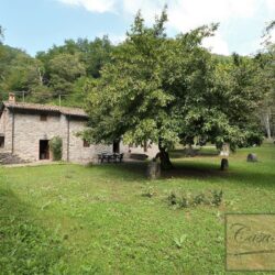 Mill for sale near Coreglia Antelminelli Tuscany (25)-1200