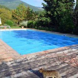 Property for sale with pool near Sarteano Tuscany (14)