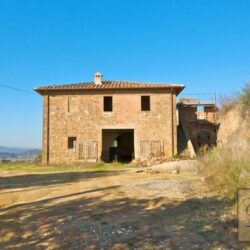 Restoration Opportunity with Outbuilding and Vineyard 1