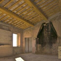 Restoration Opportunity with Outbuilding and Vineyard 5