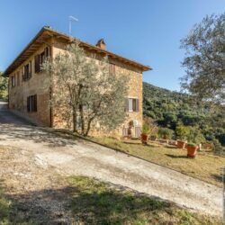 Stone farmhouse property for sale near Trequanda Tuscany (11)