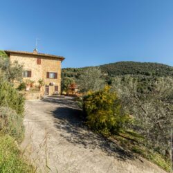 Stone farmhouse property for sale near Trequanda Tuscany (12)