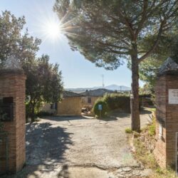 Stone farmhouse property for sale near Trequanda Tuscany (16)