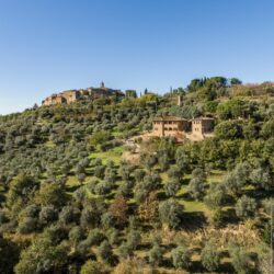 Stone farmhouse property for sale near Trequanda Tuscany (18)