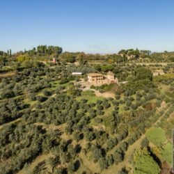 Stone farmhouse property for sale near Trequanda Tuscany (20)