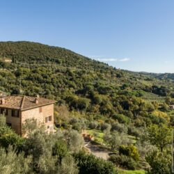 Stone farmhouse property for sale near Trequanda Tuscany (29)