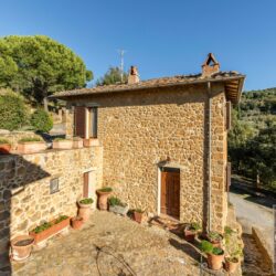 Stone farmhouse property for sale near Trequanda Tuscany (54)