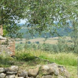 Superb farmhouse restoration opportunity in Tuscany (11)