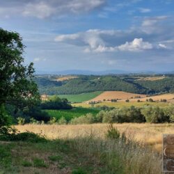Superb farmhouse restoration opportunity in Tuscany (5)
