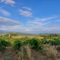 Superb farmhouse restoration opportunity in Tuscany (6)