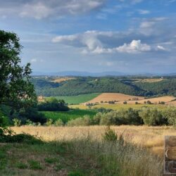 Superb farmhouse restoration opportunity in Tuscany (7)