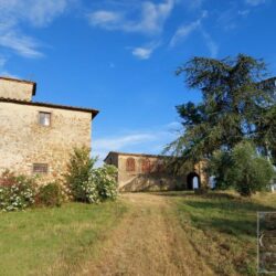 Superb farmhouse restoration opportunity in Tuscany (9)