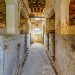 Tuscan Renovation Opportunity (15)