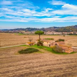 Tuscan Renovation Opportunity (25)