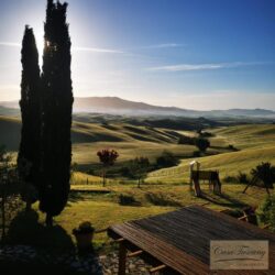 Tuscan agriturismo for sale (27)