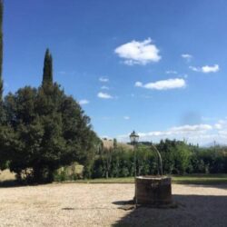 Two Country Houses with 5 Apartments and Pool near Buonconvento Tuscany (6)