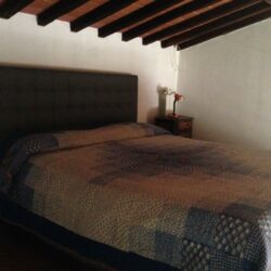 Two Country Houses with 5 Apartments and Pool near Buonconvento Tuscany (7)