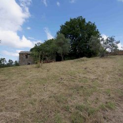 V5086ab House to restore near Orvieto Umbria (15)-1200