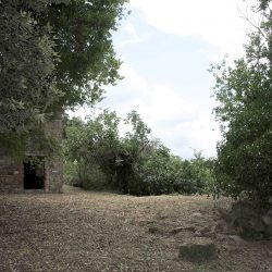 V5086ab House to restore near Orvieto Umbria (22)-1200