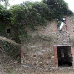 V5086ab House to restore near Orvieto Umbria (5)-1200