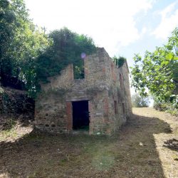 V5086ab House to restore near Orvieto Umbria (6)-1200