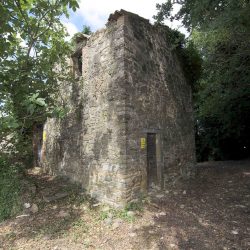 V5086ab House to restore near Orvieto Umbria (9)-1200