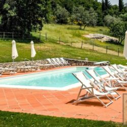 Villa Estate with 101 hectares for sale in Chianti (3)