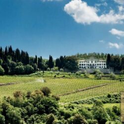 Villa Estate with 101 hectares for sale in Chianti (7)