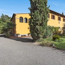 Villa near San Vincenzo for sale (13)