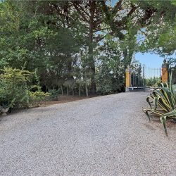 Villa near San Vincenzo for sale (14)