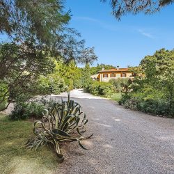 Villa near San Vincenzo for sale (3)