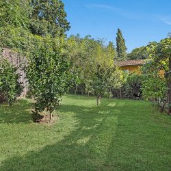 Villa near San Vincenzo for sale (9)