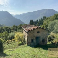 Villa with Pool for sale near Borgo a Mozzano Tuscany (7)-1200