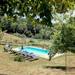 Villa with pool for sale in Piazza al Serchio, Tuscany (15)-1200