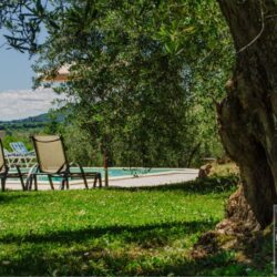 Wonderful property with pool for sale near Torrita di Siena Tuscany (8)