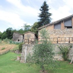 Property near Siena for Sale image 6